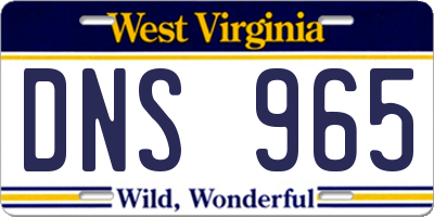 WV license plate DNS965