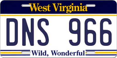 WV license plate DNS966