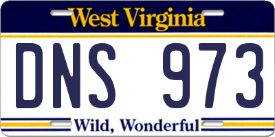 WV license plate DNS973