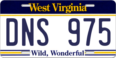 WV license plate DNS975