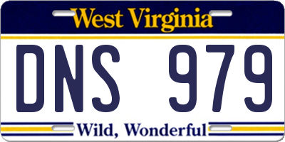 WV license plate DNS979