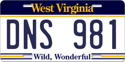 WV license plate DNS981