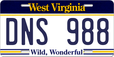 WV license plate DNS988