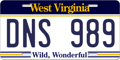 WV license plate DNS989