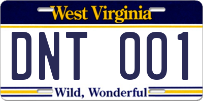 WV license plate DNT001