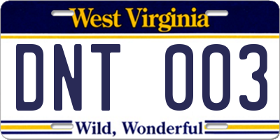 WV license plate DNT003