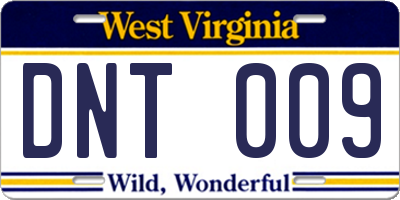 WV license plate DNT009