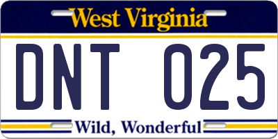 WV license plate DNT025