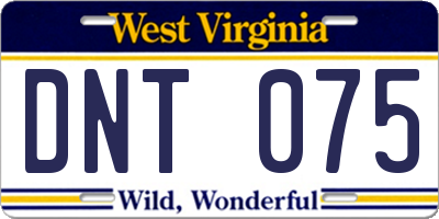 WV license plate DNT075
