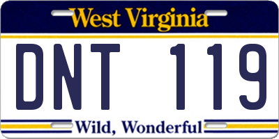 WV license plate DNT119