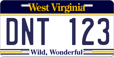 WV license plate DNT123