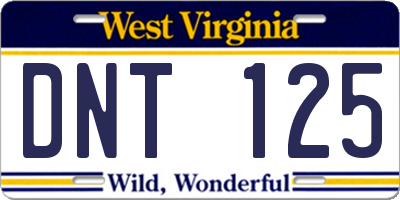 WV license plate DNT125