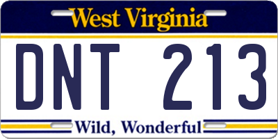 WV license plate DNT213