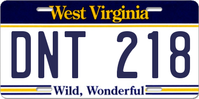 WV license plate DNT218