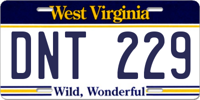 WV license plate DNT229