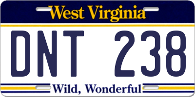 WV license plate DNT238