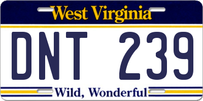 WV license plate DNT239