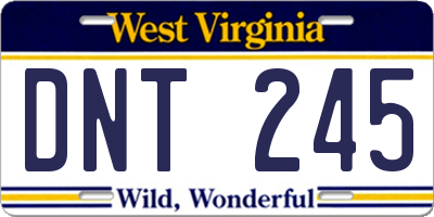 WV license plate DNT245