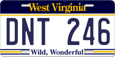 WV license plate DNT246