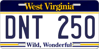 WV license plate DNT250