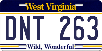 WV license plate DNT263