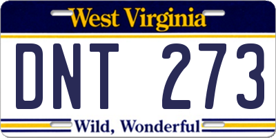WV license plate DNT273