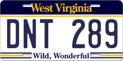 WV license plate DNT289
