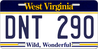 WV license plate DNT290