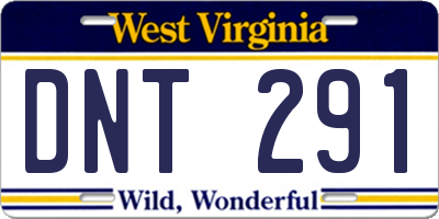 WV license plate DNT291