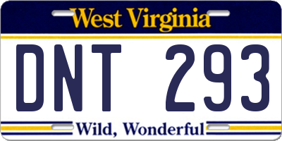 WV license plate DNT293