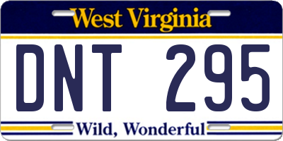 WV license plate DNT295