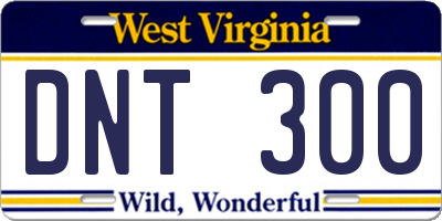 WV license plate DNT300