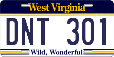 WV license plate DNT301