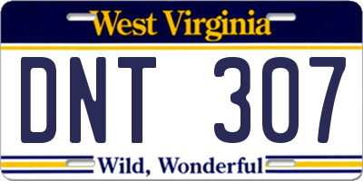 WV license plate DNT307