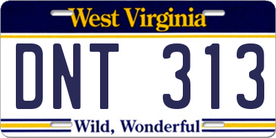 WV license plate DNT313