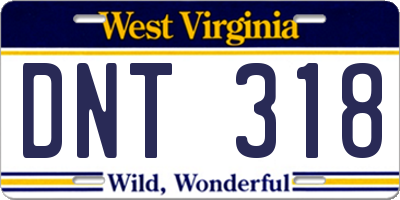 WV license plate DNT318