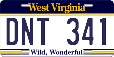 WV license plate DNT341