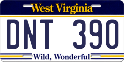 WV license plate DNT390