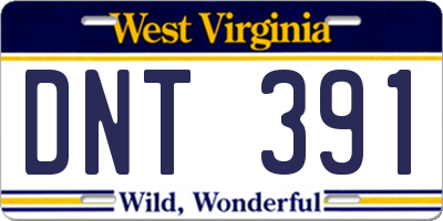 WV license plate DNT391