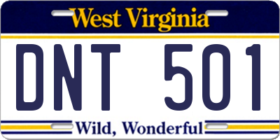 WV license plate DNT501