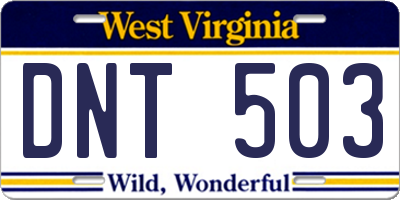 WV license plate DNT503