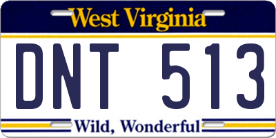 WV license plate DNT513