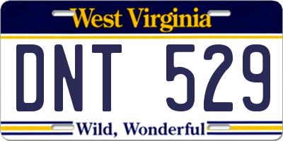 WV license plate DNT529