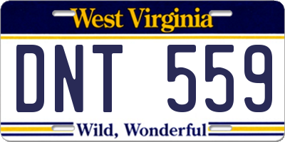 WV license plate DNT559