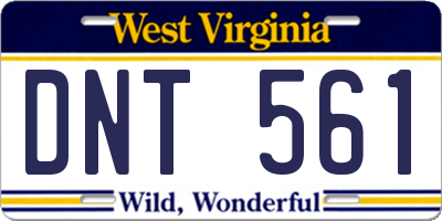 WV license plate DNT561