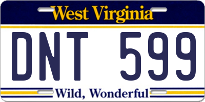 WV license plate DNT599
