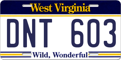 WV license plate DNT603