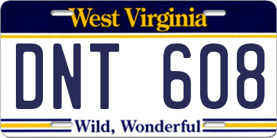 WV license plate DNT608
