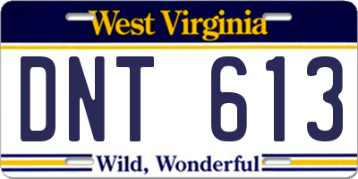 WV license plate DNT613
