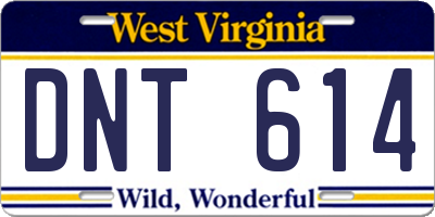 WV license plate DNT614